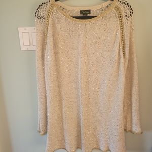 Knit Sequened Sweater